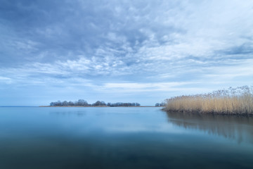 evening photo bulrush