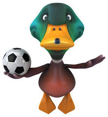 Fun duck