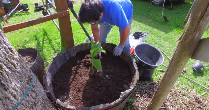 Frau bei der Gartenarbeit im Fr&uuml;hling, Garten, , Gartenwerkzeug, Blumen