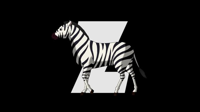 Letter Z  and  Zebra  (foreground)
Animated animal alphabet. HD footage with alpha channel. Animal in a foreground of letter.
