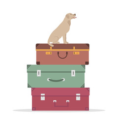 Travel Luggage and Dog