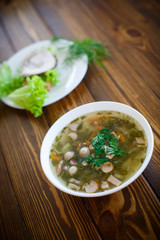 vegetable soup with sausages in a plate
