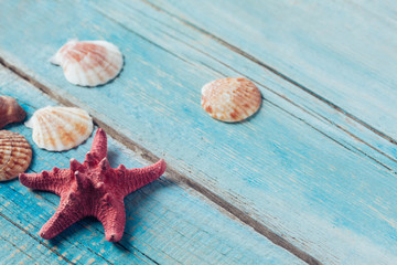 Summer Beach Scene