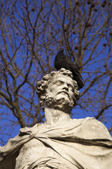 Pidgeon on statue in Paris, France