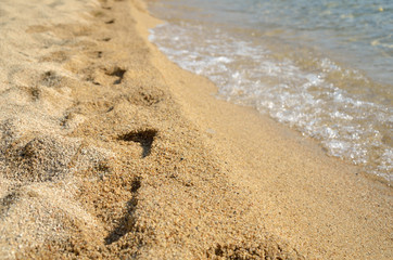 Footprints on sandy beach by the sea