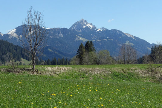 Blick vom Aurachtal auf den Wendelstein, Oberbayern
