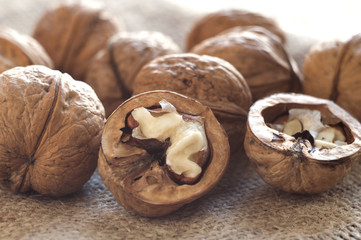 Opened walnut in the foreground. Near several walnuts on burlap.