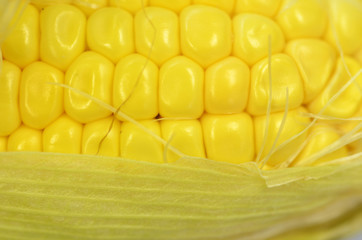 Detail shot of fresh corn on cob