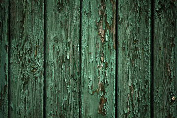 Wood texture or background. Old, rusty panels or planks painted in green color.