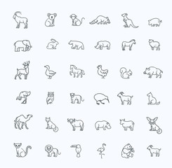 vector icons. Zoo. Animals © tettygreen