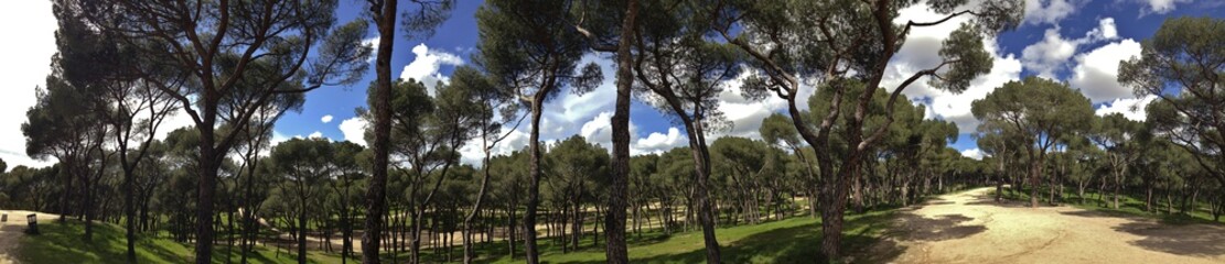 PANORÁMICA DEL PARQUE DE LA DEHESA DE LA VILLA EN MADRID