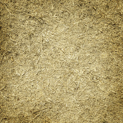 Organic, withered grass texture. Close up shot.