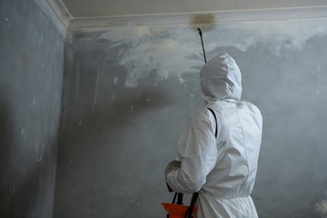 Man doing pest control on a wall