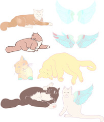 Cat posture hand drawn mixed some watercolor textures vector file
