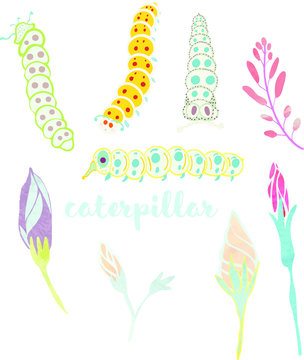 Caterpillar and flower doodles on the watercolor texture vector file