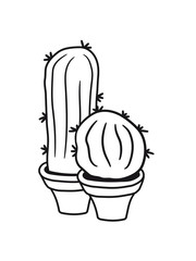 2 kakten flowerpot small green cactus balcony sweet cute beautiful