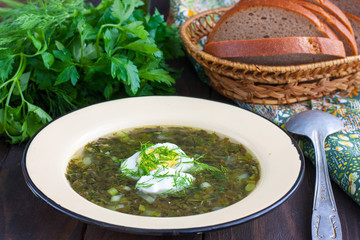 Sorrel soup with egg and sour cream, horizontal