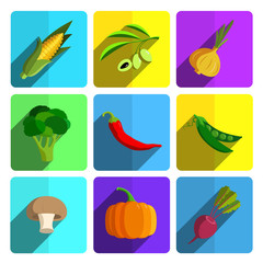 Colorful Vegetable Icon Set on Bright Background 