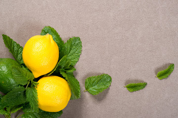 Yellow lemon, lime and green mint leaves on table. Top view