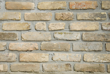 Gradient Beige brick wall. Texture