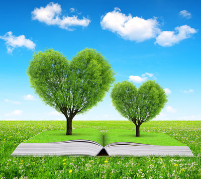 Book with a trees in the shape of heart on meadow.