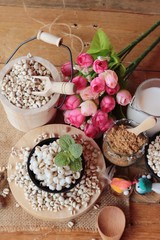 Cooked millet seeds with milk and sugar.