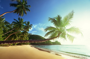 Fototapeta premium sunset on the beach, Mahe island, Seychelles