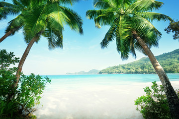 Fototapeta na wymiar beach Takamaka, Mahe island, Seychelles