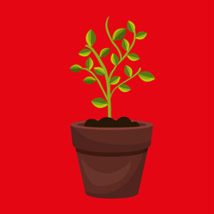 plant pot design 