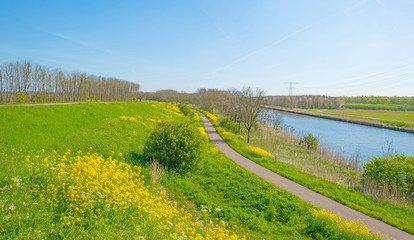 Canal through a sunny landscape in spring
