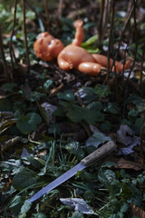 Scary doll. Child abuse. Crime scene. Lost