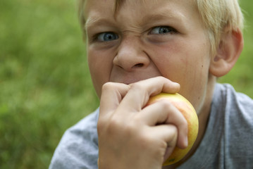 Child boy eating apple, outdoor portrait