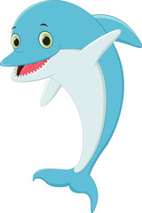 funny Cartoon dolphin