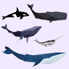 Naklejka premium Geometric colored whale set