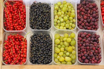 Türaufkleber Berry Fruits © markobe