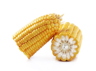 Corn on the cob kernels isolated on white background