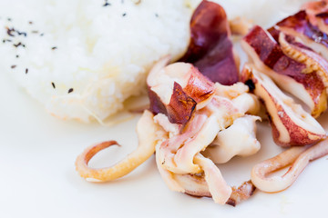 Japanese food with grilled squid
