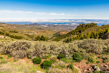 Fototapeta na wymiar View From Pico de las Nieves - Gran Canaria, Spain