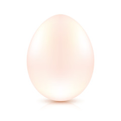 Vector egg on white background