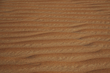 Desert sand texture background