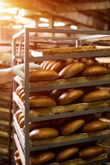 Brown bread loaves on rack. Hand touching bread on shelves. Big scale of production. Baked goods made for wholesale.