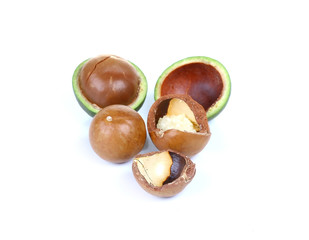 macadamia nuts isolate on white background