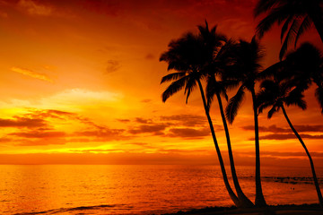 Tropical island sunset with silhouette of palm trees, hot summer day vacation background, golden sky with sun setting over horizon