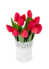 Red tulips in flowerpot