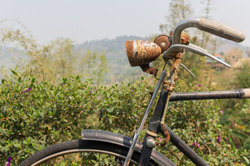 Fototapeta na wymiar The old vintage bicycle