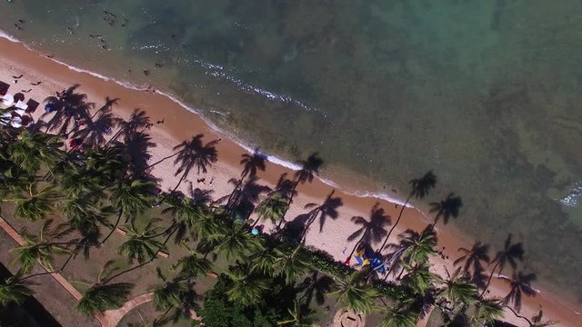 Top View of Praia do Forte beach, Bahia, Brazil