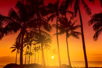 Photo sur Aluminium Mer / coucher de soleil Tropical island sunset with silhouette of palm trees, hot summer day vacation background, golden sky with sun setting over horizon