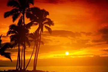 Deurstickers Zonsondergang aan zee Tropical island sunset with silhouette of palm trees, hot summer day vacation background, golden sky with sun setting over horizon