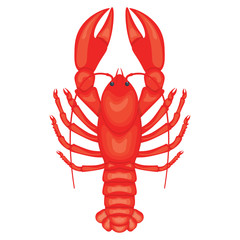 Crayfish vector illustration isolated on white background