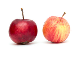 red apple on a white background